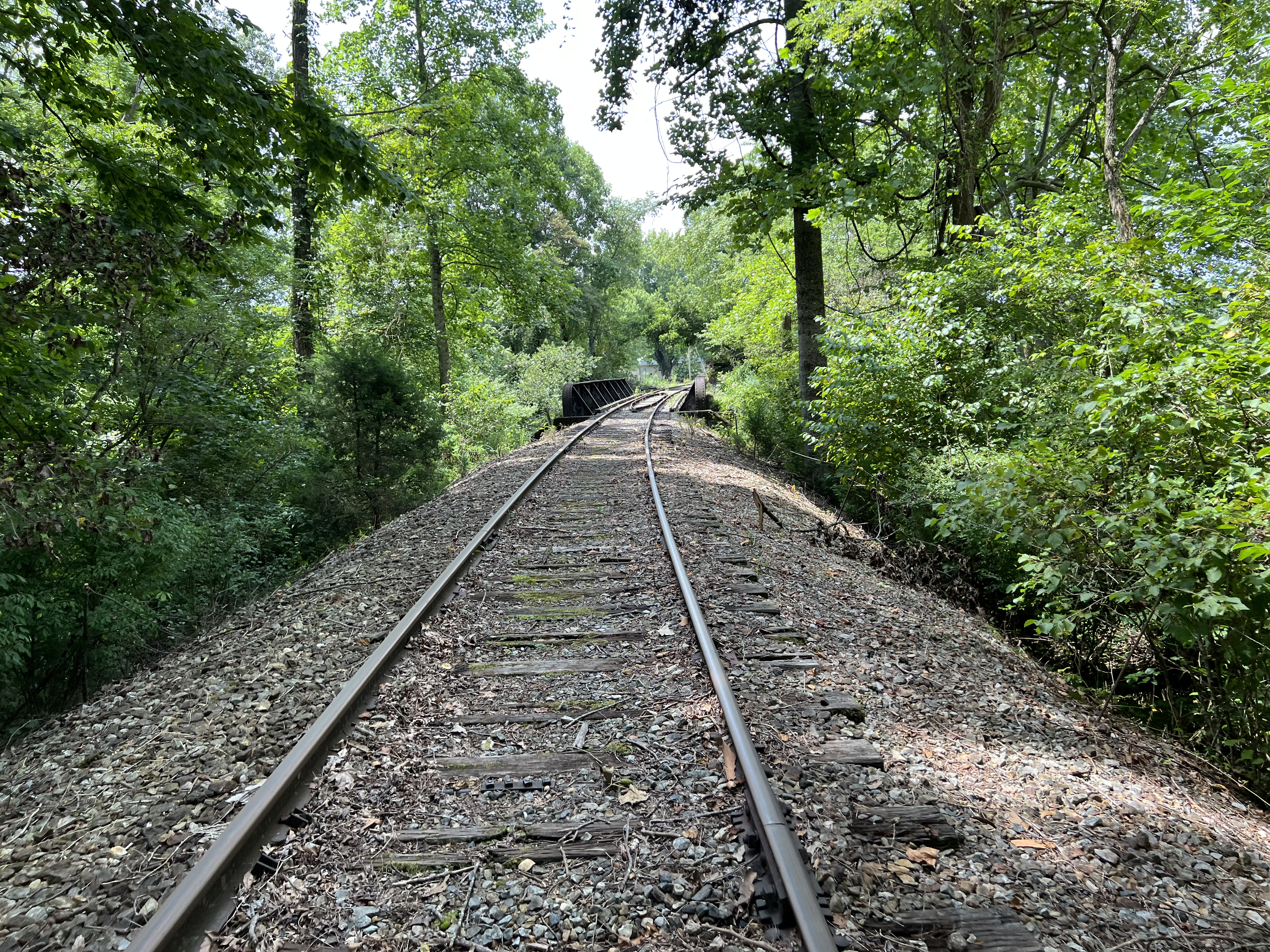 ./2023/11 - Asheville/IMG_9895.jpg